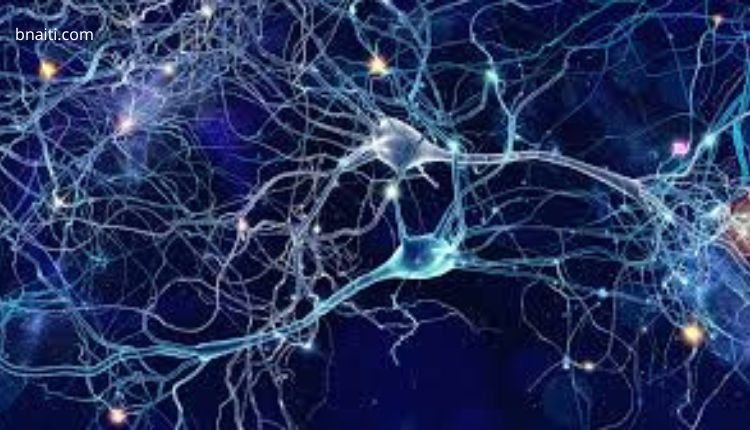 Causes of excess electrical activity in the brain