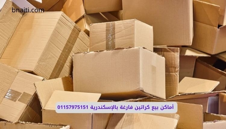 أماكن بيع كراتين فارغة بالإسكندرية