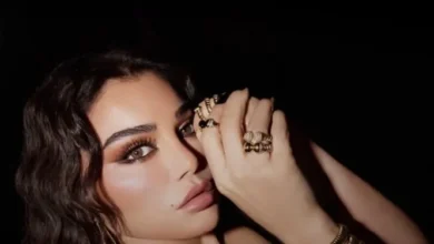 سكس هيفاء وهبي في غرفة النوم