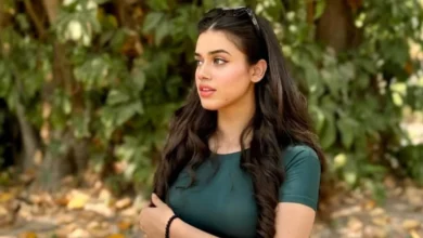 Pakistani Alina Amir sex