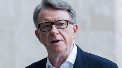 peter mandelson wikipedia