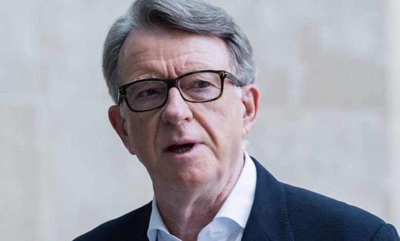 peter mandelson wikipedia