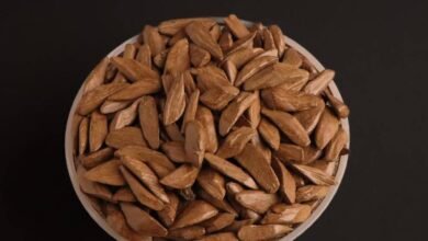 استيراد العود من إندونيسيا